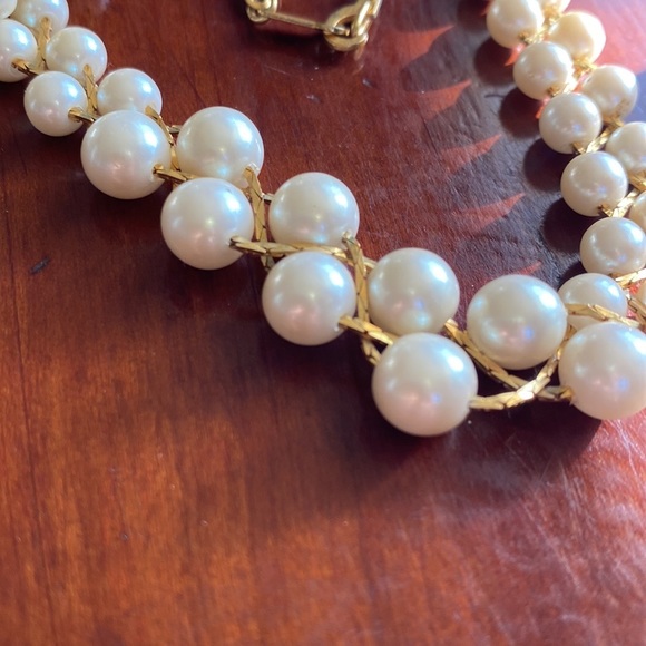 Meet your Posher, Dottie - Picture 6 of 6